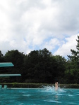 SX24146 Jenni diving into pool.jpg